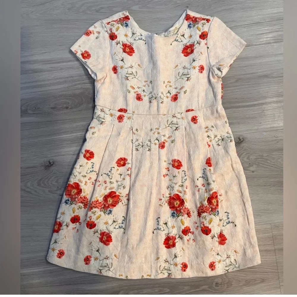 ZARA Floral Embroidered Dress‎